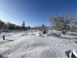 ������ �������, �. ����� ���� 4