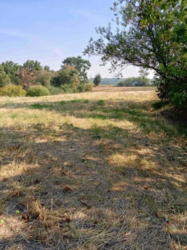 Продаж будинку в селі Черкас фото 16 Продаж будинку в селі Черкас фото 16