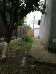 ������ ������� �� ���. �������� �� ������ ���� 4