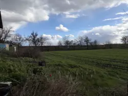������ �������, �. ������ ���� 19