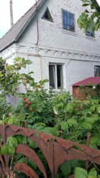 Продаж будинку, с.Сорокотяги фото 1 Продаж будинку, с.Сорокотяги фото 1