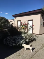 ������ �������, ������� ���� 13