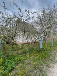 Продаж дачі, с.Чепеліївка фото 3 Продаж дачі, с.Чепеліївка фото 3