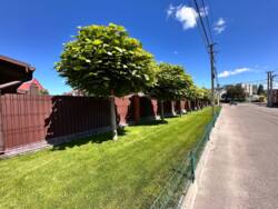 Продаж таунхаусу, Таращанський м-в (Царське село) фото 18 Продаж таунхаусу, Таращанський м-в (Царське село) фото 18