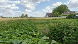 Продаж будинку, с.Сорокотяги фото 6 Продаж будинку, с.Сорокотяги фото 6