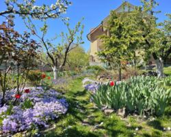 ������ �������, �.������ ���� 15