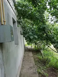 ������ ������� �-� ������ ���� 9