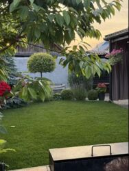 ������ �������, ������ ���� 12