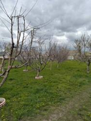 ������ ��������� �������, ���.������� ���� 14