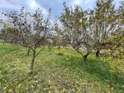 ������ �������, �.������ ���� 8