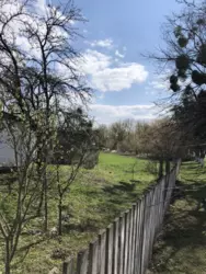 ������ �������, �. �������� ���� 16