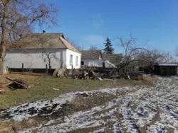 ������ �������, �.������ ���� 7