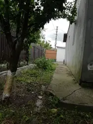 ������ ������� �-� ������ ���� 12