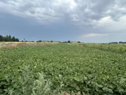 ������ �������, ���. ������� ���� 10