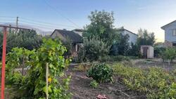 Продаж будинку, Трушки фото 12 Продаж будинку, Трушки фото 12