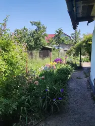 ������ ������� �������, ��������� ������ ���� 11