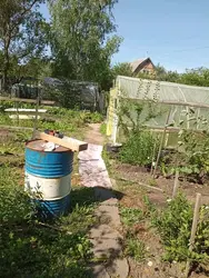 ������ ����, ������ ���� ���� 3