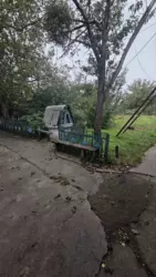 ������ �������, �. ������������ ���� 8