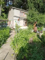 ������ ����, ������ ���� ���� 1