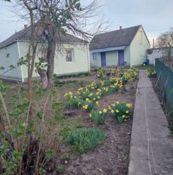 ������ �������, �.���� ������� ���� 3