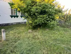 ������ �������, �. �������� ���� 15