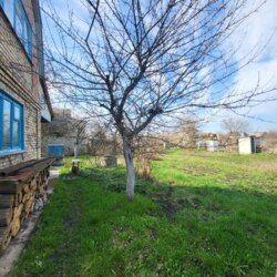 ������ ���� �� ' ������������� ' ���� 8