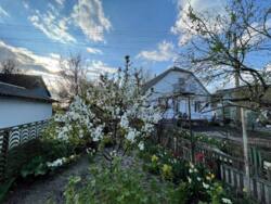 Продаж будинку в с.Фурси фото 2 Продаж будинку в с.Фурси фото 2