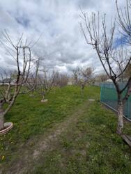 ������ ��������� �������, ���.������� ���� 15