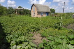 Продаж дачі хутір Черкас фото 1 Продаж дачі хутір Черкас фото 1