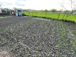 Продаж будинку в с.Фурси фото 15 Продаж будинку в с.Фурси фото 15