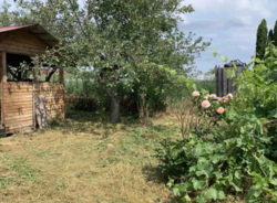 Продаеться цегляний будинок с. Томилівка. Торг! фото 6 Продаеться цегляний будинок с. Томилівка. Торг! фото 6