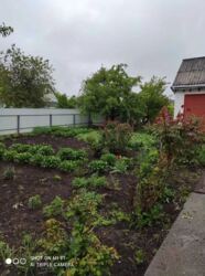 ������ �������,�.������ ���� 11