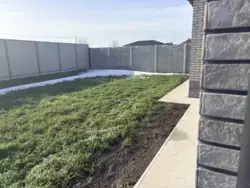 ������ �������, ˺��� ���� 16