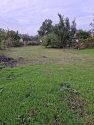 ������ �������, ���� ���� 5