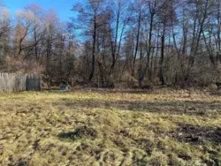 Продаж будинку, с. Коржівка фото 20 Продаж будинку, с. Коржівка фото 20