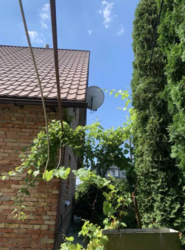 Продаеться цегляний будинок с. Томилівка. Торг! фото 4 Продаеться цегляний будинок с. Томилівка. Торг! фото 4