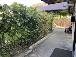 ������ ������� �������, ������ ���� 17