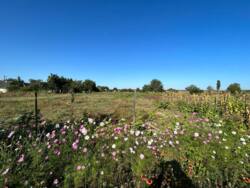 ������ �������, �.������ ���� 5