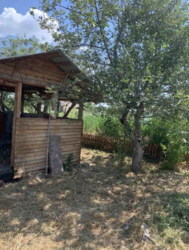 Продаеться цегляний будинок с. Томилівка. Торг! фото 5 Продаеться цегляний будинок с. Томилівка. Торг! фото 5