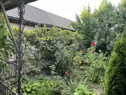 ������ ������� �������, ������ ���� 16