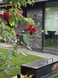 ������ �������, ������ ���� 11