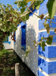 Продаж будинку в селі Черкас фото 2 Продаж будинку в селі Черкас фото 2