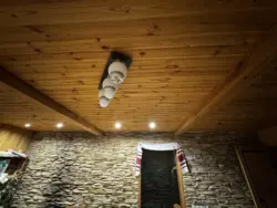 ������ �������, �. ������ ���� 11