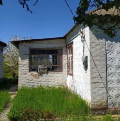 ������ �������, ���� ���� 4