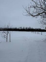 ������ �������, �.������ ���� 8