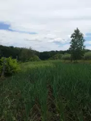 ������ ������� �������, �. ���� ³������� ���� 5