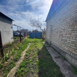 ������ ���� �� ' ������������� ' ���� 7