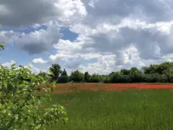 ������ �������, �. �������� ���� 18