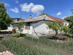 ������ �������, �. ������ ���� 15