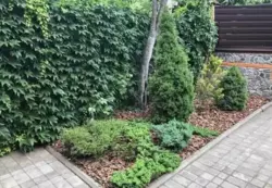 ������ ������� �������, ������������ �-� ���� 8